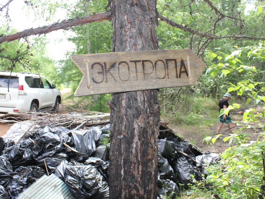 Журналисты Читы  убрали мусор на «Экототропе» возле Арахлея